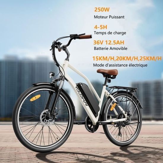 YOLOWAY C10 – Elektrofahrrad 26″ – 250 W Motor – Herausnehmbarer Akku 36 V 12,5 Ah – Reichweite bis zu 90 km