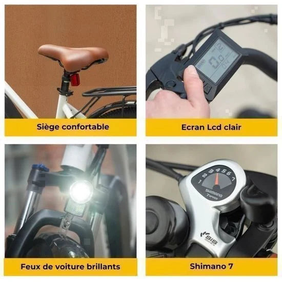 YOLOWAY C10 – Elektrofahrrad 26″ – 250 W Motor – Herausnehmbarer Akku 36 V 12,5 Ah – Reichweite bis zu 90 km