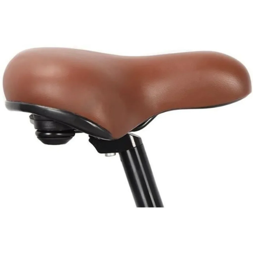 SURPASS SURVAEPLIANTN – 20" Faltbares Elektrofahrrad Schwarz – 6-Gang – 10-Ah-Akku
